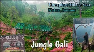 Jungle Gali🏞️|| Cloud Camp And Cafe🥰||Unexplored Place Near Katra #hiddengems #jammubeauty #explore