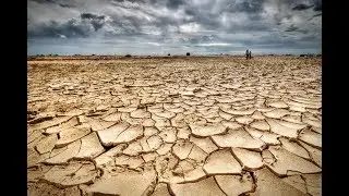 One Million Species Risk Extinction. The Chief Culprit &ndash; Humans