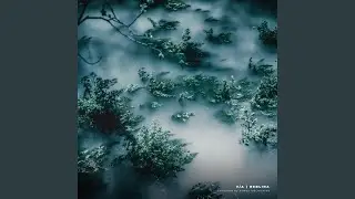 Cycle