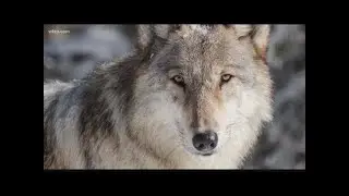 How to stay safe at a national park