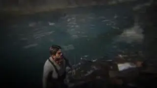 The most cinematic fight in RDR2