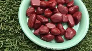 Red Jasper Healing Stones | Root Chakra Crystals