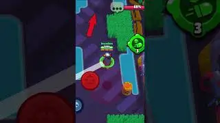 Piper 4