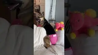See how I wear my pink diaper #verymindful
