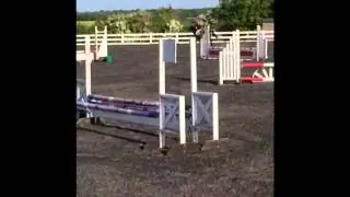 For Sale - Perfect Second Pony