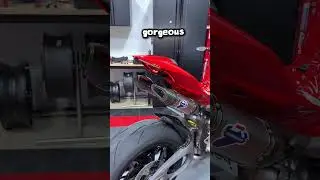 Выхлопная система Termignoni Undertail RACING стоимостью 7000 долларов на Ducati Streetfighter V4...