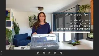 Выращивание семян и растений в помещении &mdash; это просто!