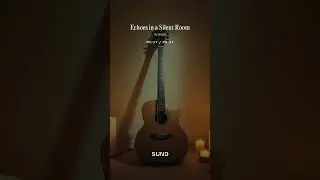 Echoes in a Silent Room