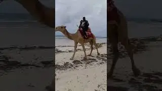 Diani sea 🌊 breeze