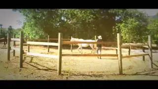 AUTO_AWESOME_MOVIE_1_20141214_154701.mp4