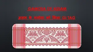 GI Tag to Gamosa of Assam II Assam ke Gamosa ko mila GI Tag #gamosa