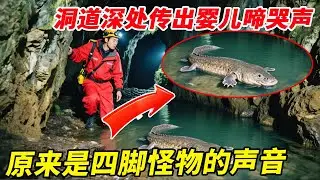 探秘湖北大山洞道深处，竟然传出婴儿啼哭声，还发现四脚怪物！【户外小北哥】