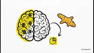 Natural Neuroprotection: Understanding Synergies &ndash; Safely Boosting Brain Health
