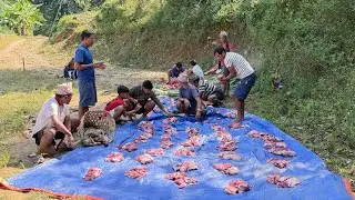 Buffalo🐃 Cutting in Village🇳🇵|| २०८२ कार्तिक ४ राँगा काटेर तिहार मनाउँदै || दीपावलीको शुभकामना ।