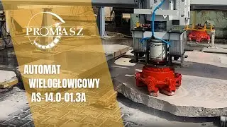 Automat wielogłowicowy AS-14.0-01.3A