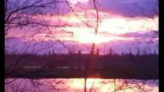 Лебеди на озере Тёплом (relax video), пос. Луговой, 2008 г.