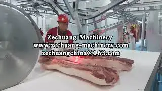 High Tech Buffalo Sheep Slaughter Equipment Primal Cutting Circular Speed Saw For Meat Processing