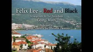 Felix Lee  -  Red and Black