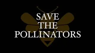 Save the Pollinators - BeeKeeper Dana DiPrima - CMK Teaser