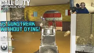 I GOT A MOAB ON BLACK OPS 1! - Black Ops 1 On PC in 2018
