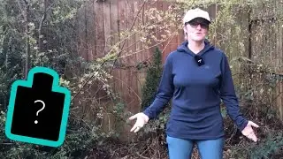 WHAT&rsquo;S IN THE BOX? Froggtoggs Xtreme & Helly Hansen Sun Hoodie for the PCT
