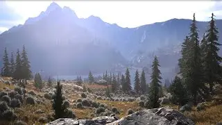 facCRY 5