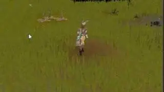 hunting - grey chinchompas