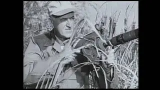 Mort Neff - Michigan Outdoors