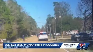 Goodbee domestic violence situation