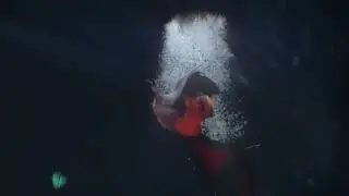Digital Animation Showcase: Wings