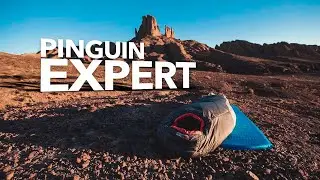 Зимовий спальник | Pinguin Expert 2020