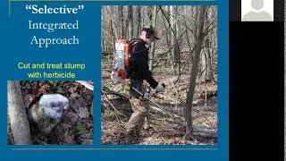 Regenerating Hardood Forests: Managing Competition, Deer and Light