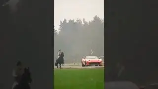 Horse Challenging ferarri😱 #horse #race #feraarri #shorts