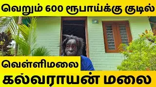 Kalvarayan hills stay in forest guest house a budget resort