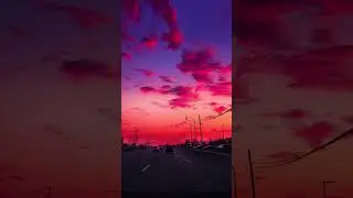 From Dawn to Dusk: The Beauty of Sunset Diaries