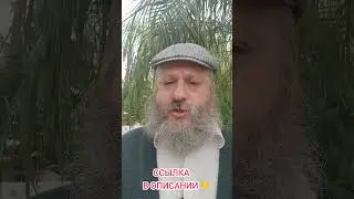 Как получить благословение от Ребе