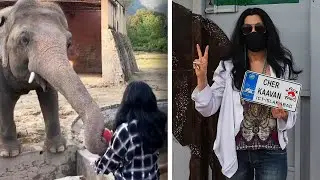 Cher Welcomes &lsquo;Loneliest Elephant&rsquo; to Cambodia Sanctuary