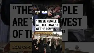 ECAJ co-CEO Alex Ryvchin on 2GB discussing the neo-nazi rally on Sunday, 9th November in Sydney.
