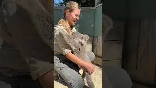 #Koala has a warm hug