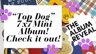 ALBUM REVEAL! &ldquo;TOP DOG&rdquo; 7x7 MINI ALBUM! CHECK IT OUT!!!! 🐾🐾🐾🐾