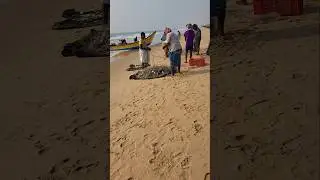 Village Boat Fishing