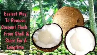 Easiest Way To Remove Coconut Flesh From Shell & Store For a Long Time