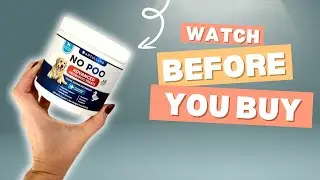 Our Go To Dog Chews for Better Daily Habits