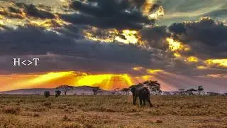 Noptic - Heart Of Africa (Original Mix)