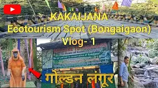 काकोईजाना-Golden Langur का घर | Assam Ecotourism & Wildlife Conservation (Kakaijana)