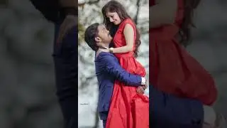 Sad mashup song || pg status 4k full screen video || Love Bird 0.1