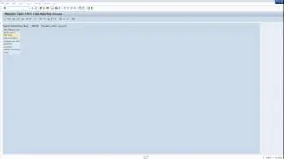 SAP Purchasing Information Record Screen Layout