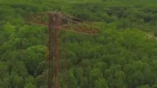 Hawk attacks drone