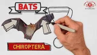 Michigan Bat Control