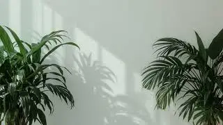 quiet desk &mdash; background music for coffee shops